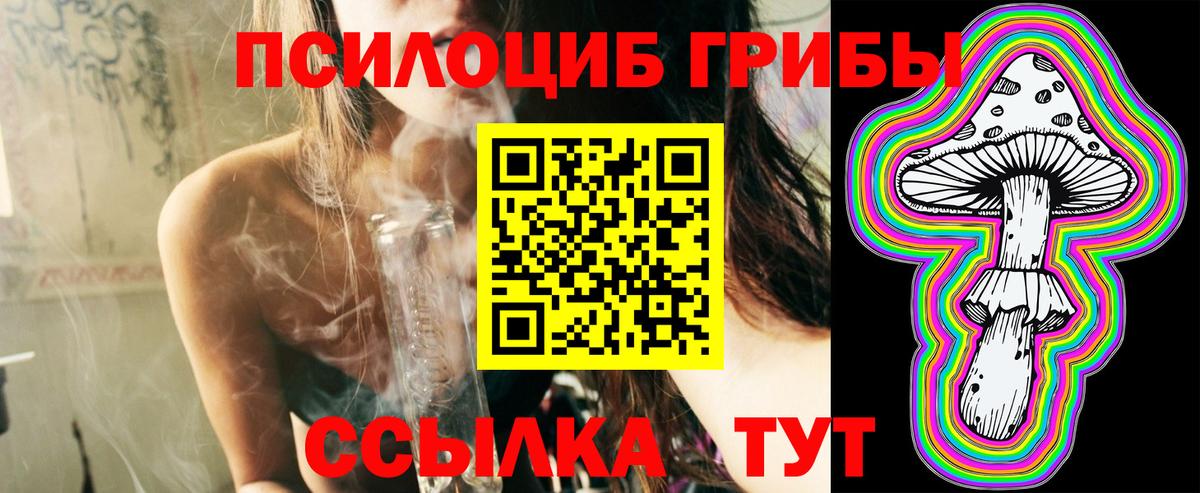 Красноперекопск  Галлюциногенные грибы Psilocybine cubensis  Вход с VPN 